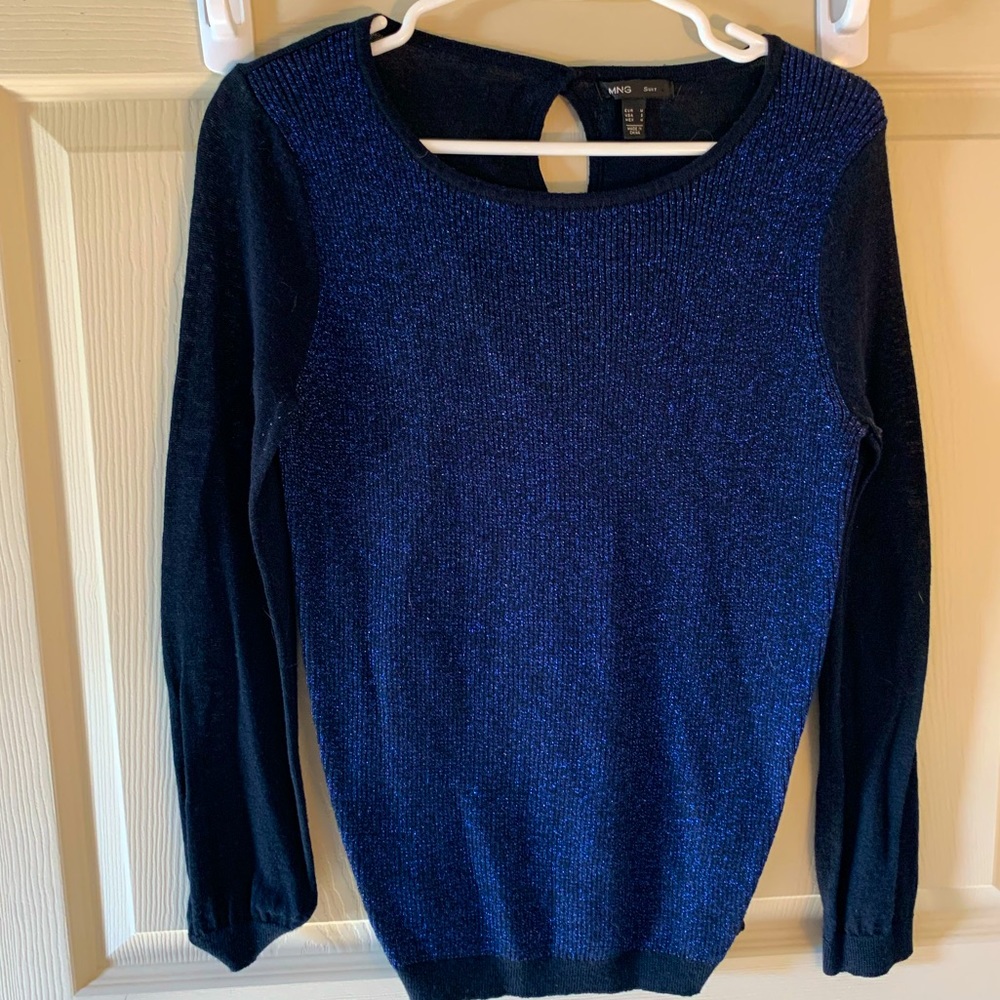 Fine metallic knit fancy sweeter